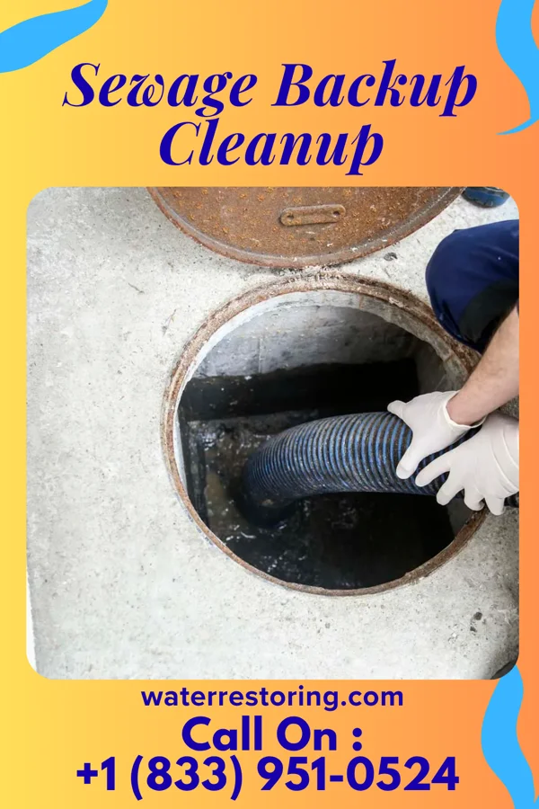 Sewage Backup Cleanup in Pagedale, MO