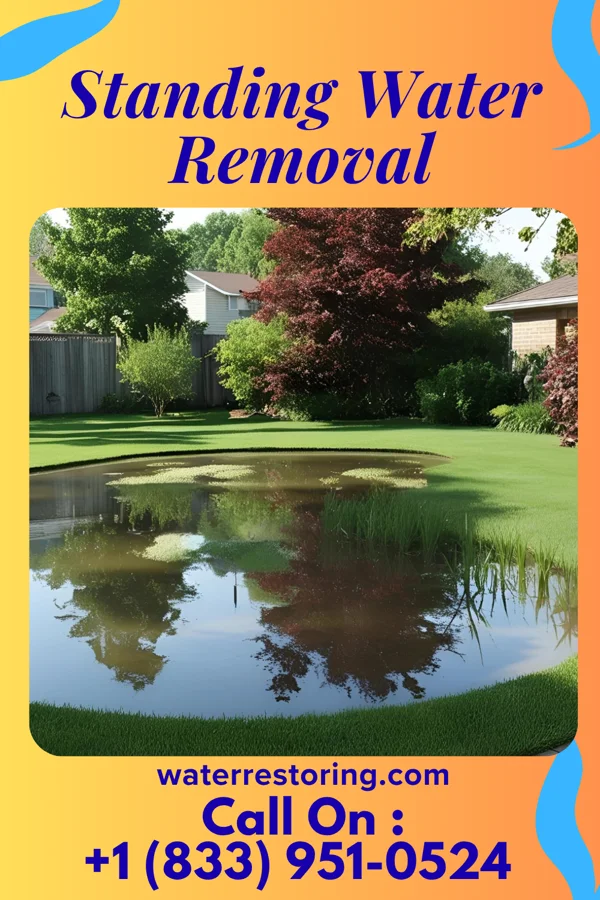 Standing Water Removal in Pagedale, MO